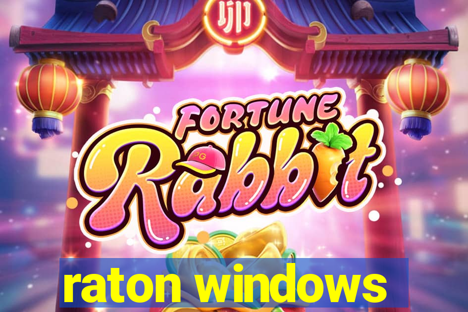 raton windows
